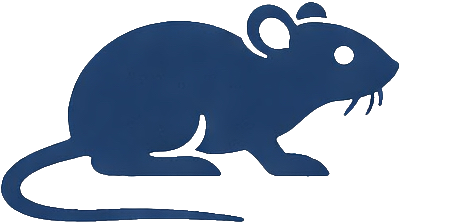 Rat