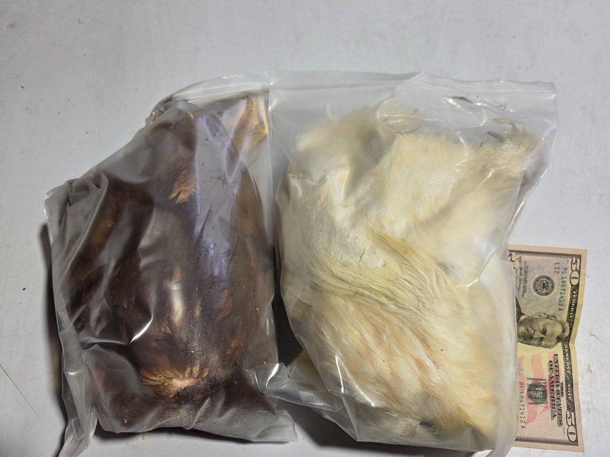 Chicken – Small (1 pack, 2-3lb)